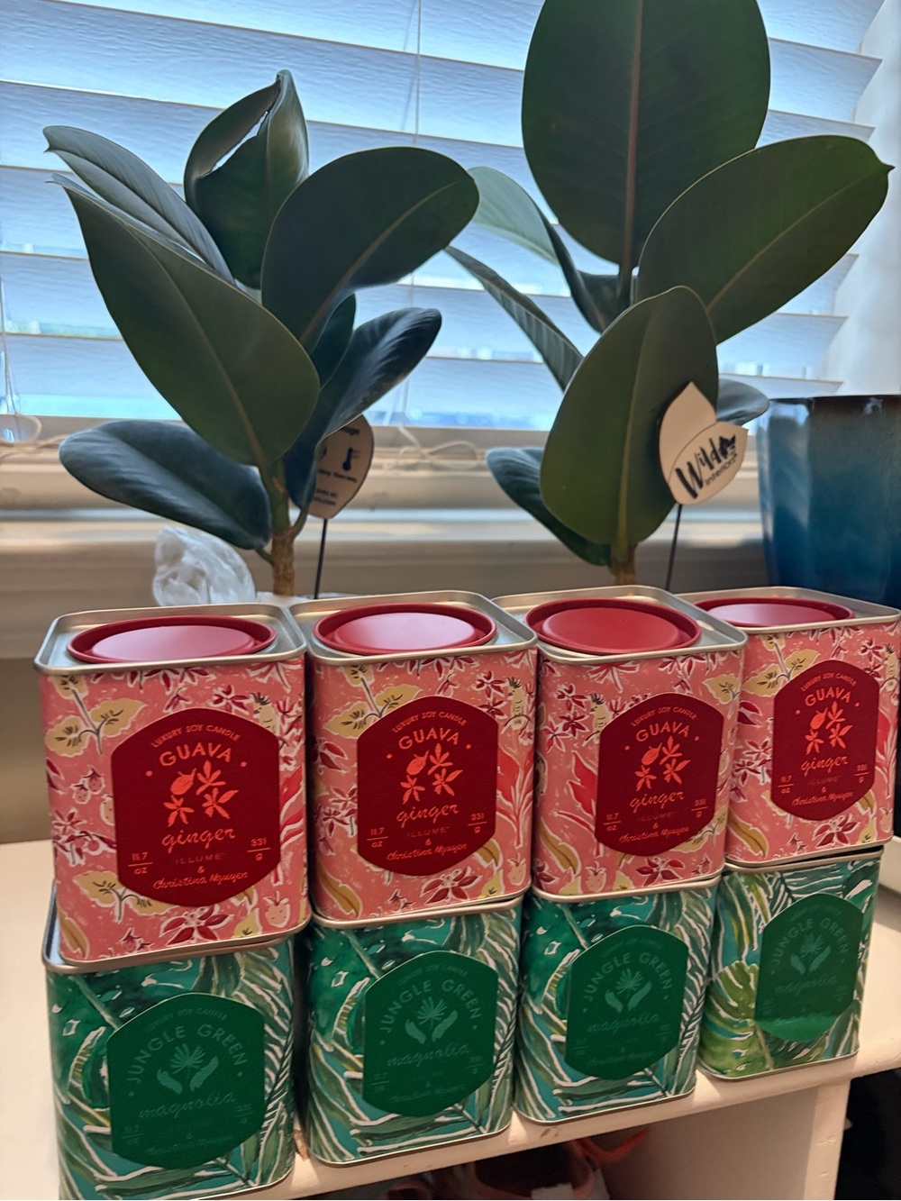 Guava Ginger Scented Candle Tin - Pink
